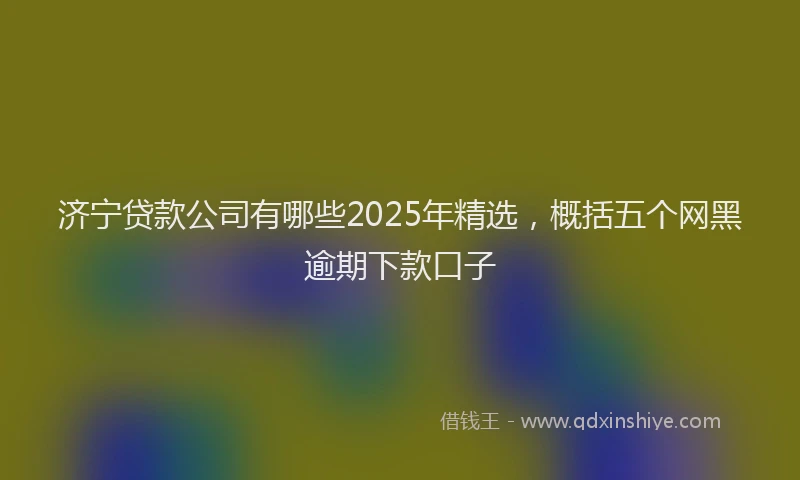 济宁贷款公司有哪些2025年精选，概括五个网黑逾期下款口子