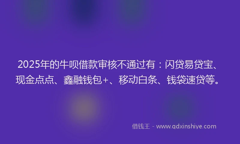 2025年的牛呗借款审核不通过有：闪贷易贷宝、现金点点、鑫融钱包+、移动白条、钱袋速贷等。