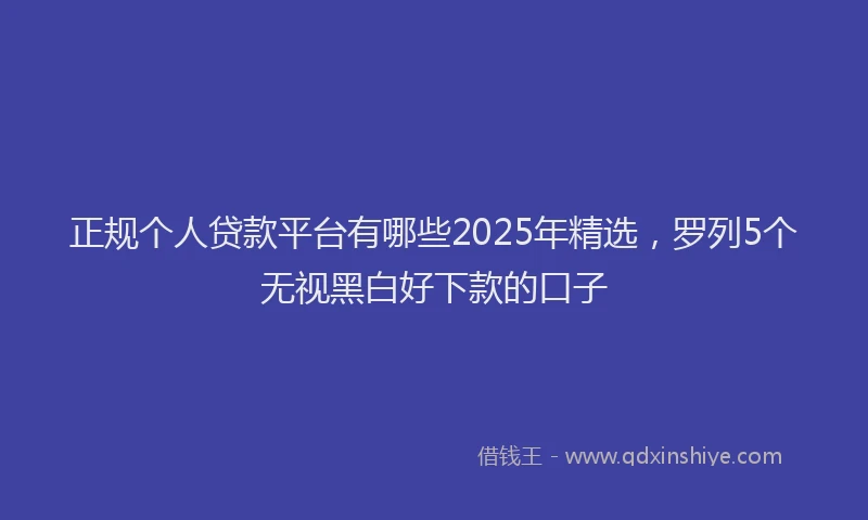 正规个人贷款平台有哪些2025年精选，罗列5个无视黑白好下款的口子