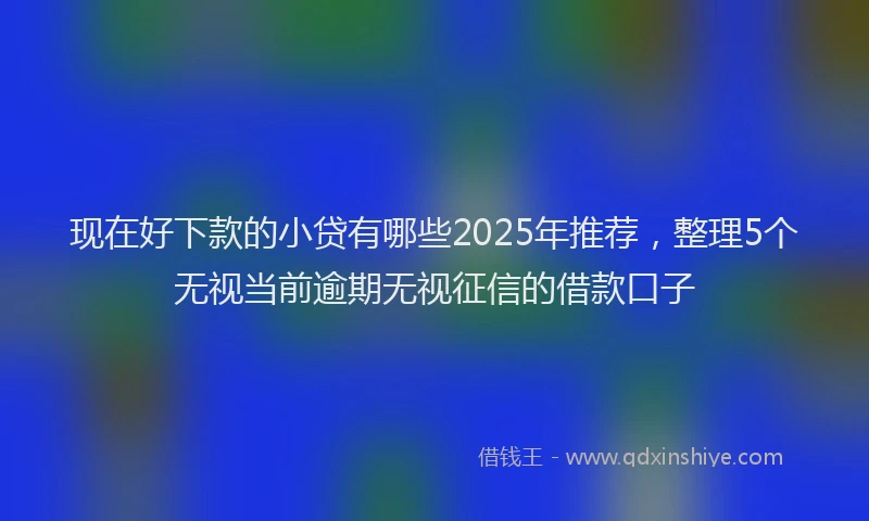 现在好下款的小贷有哪些2025年推荐，整理5个无视当前逾期无视征信的借款口子