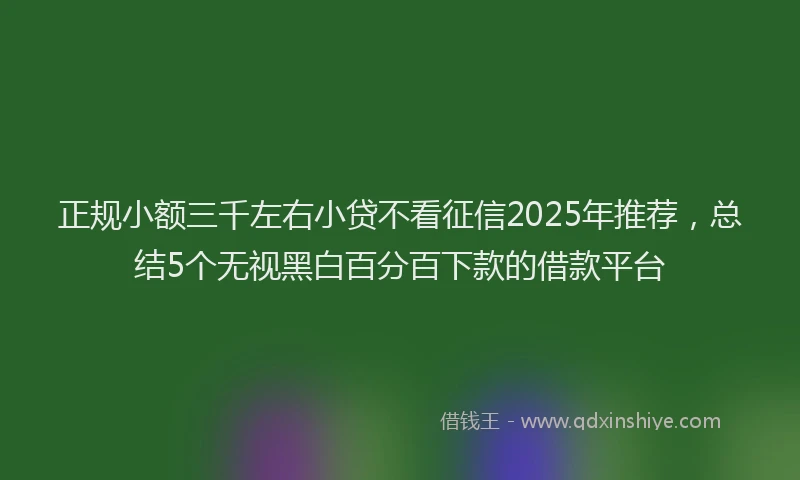 正规小额三千左右小贷不看征信2025年推荐，总结5个无视黑白百分百下款的借款平台