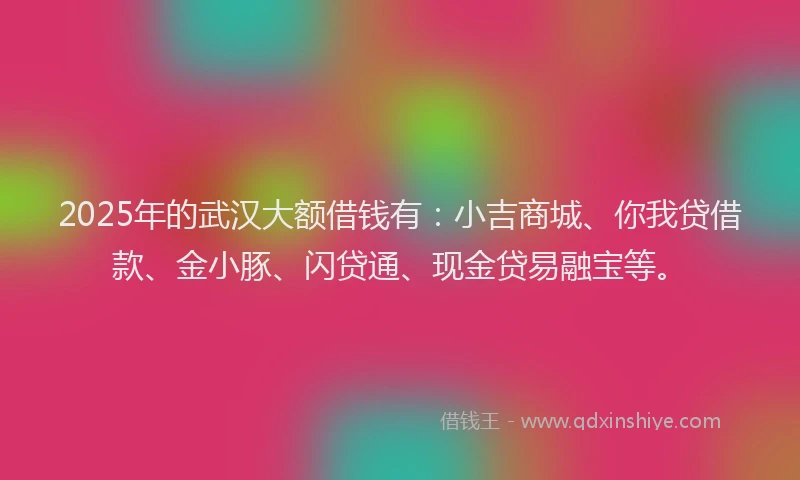 2025年的武汉大额借钱有：小吉商城、你我贷借款、金小豚、闪贷通、现金贷易融宝等。