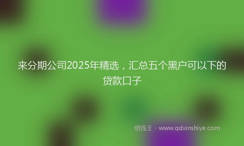 来分期公司2025年精选，汇总五个黑户可以下的贷款口子