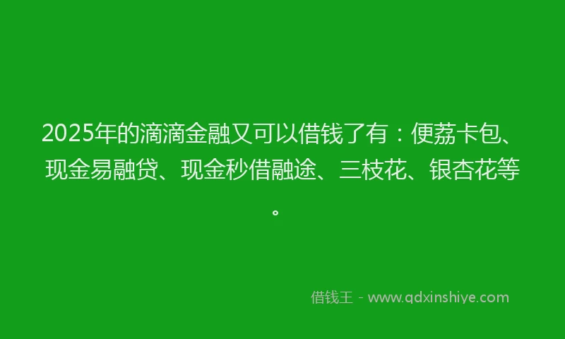 2025年的滴滴金融又可以借钱了有：便荔卡包、现金易融贷、现金秒借融途、三枝花、银杏花等。