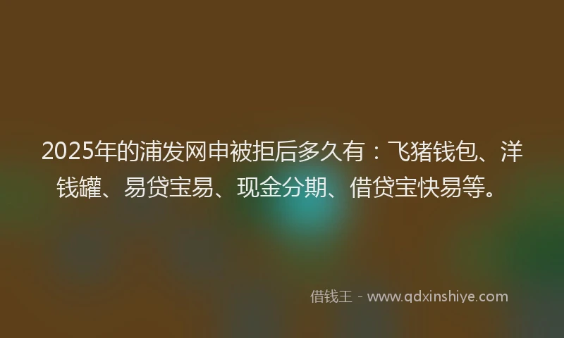 2025年的浦发网申被拒后多久有：飞猪钱包、洋钱罐、易贷宝易、现金分期、借贷宝快易等。