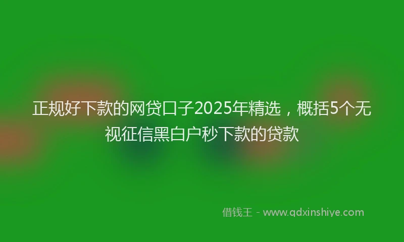正规好下款的网贷口子2025年精选，概括5个无视征信黑白户秒下款的贷款