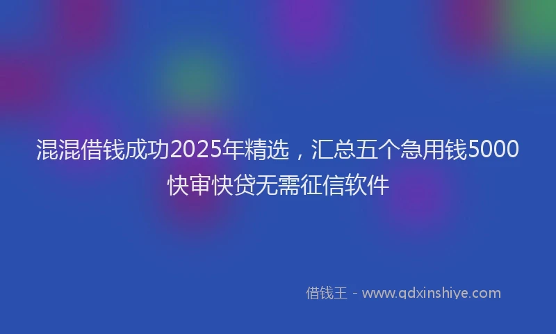 混混借钱成功2025年精选，汇总五个急用钱5000快审快贷无需征信软件