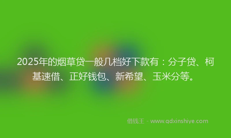 2025年的烟草贷一般几档好下款有：分子贷、柯基速借、正好钱包、新希望、玉米分等。