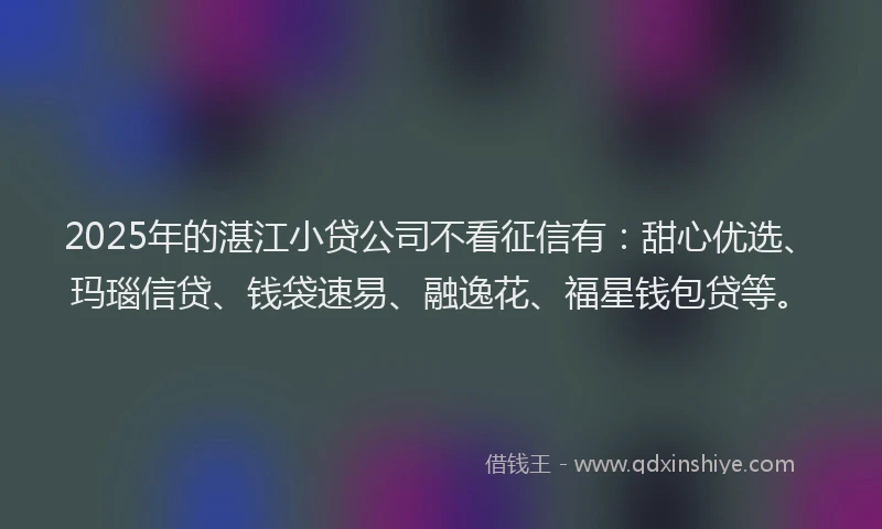 2025年的湛江小贷公司不看征信有：甜心优选、玛瑙信贷、钱袋速易、融逸花、福星钱包贷等。