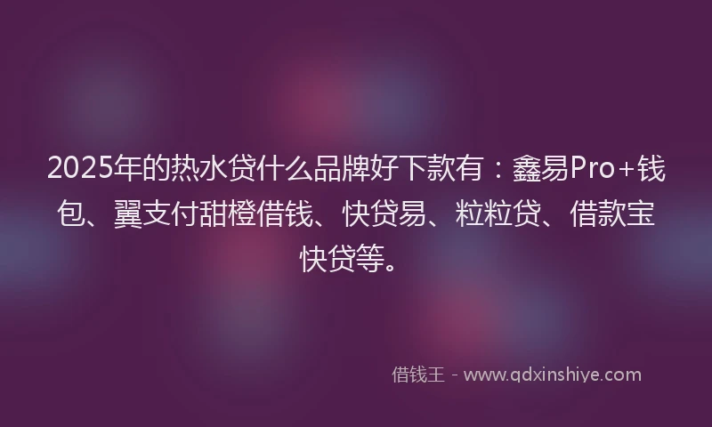 2025年的热水贷什么品牌好下款有：鑫易Pro+钱包、翼支付甜橙借钱、快贷易、粒粒贷、借款宝快贷等。