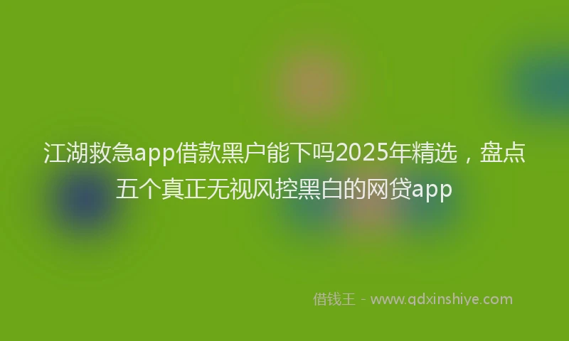 江湖救急app借款黑户能下吗2025年精选，盘点五个真正无视风控黑白的网贷app