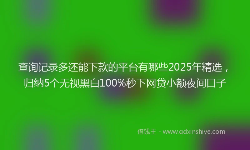 查询记录多还能下款的平台有哪些2025年精选，归纳5个无视黑白100%秒下网贷小额夜间口子