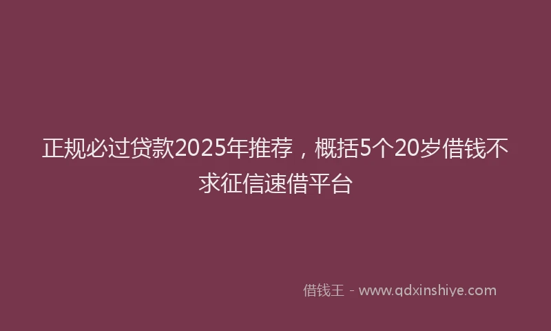正规必过贷款2025年推荐，概括5个20岁借钱不求征信速借平台