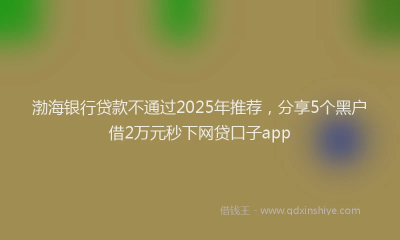 渤海银行贷款不通过2025年推荐，分享5个黑户借2万元秒下网贷口子app