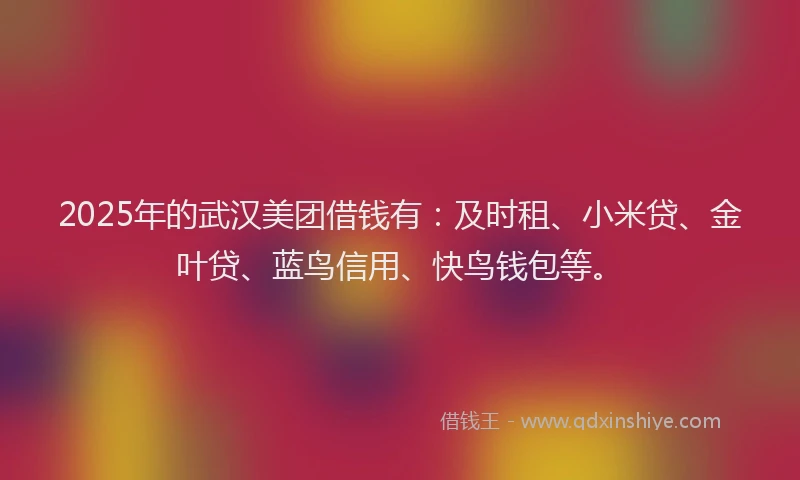 2025年的武汉美团借钱有：及时租、小米贷、金叶贷、蓝鸟信用、快鸟钱包等。