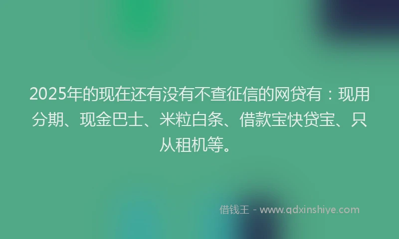 2025年的现在还有没有不查征信的网贷有：现用分期、现金巴士、米粒白条、借款宝快贷宝、只从租机等。