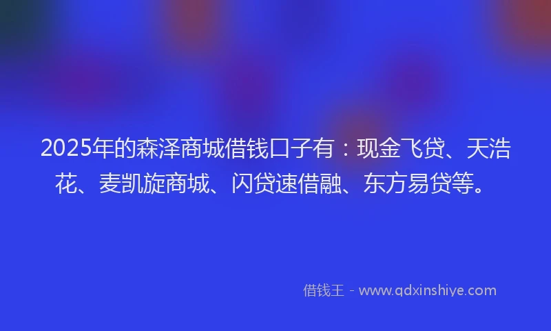 2025年的森泽商城借钱口子有：现金飞贷、天浩花、麦凯旋商城、闪贷速借融、东方易贷等。