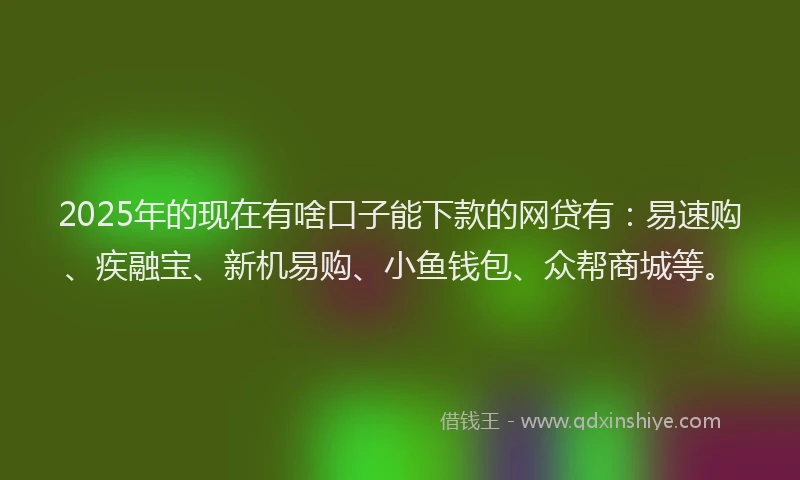 2025年的现在有啥口子能下款的网贷有：易速购、疾融宝、新机易购、小鱼钱包、众帮商城等。