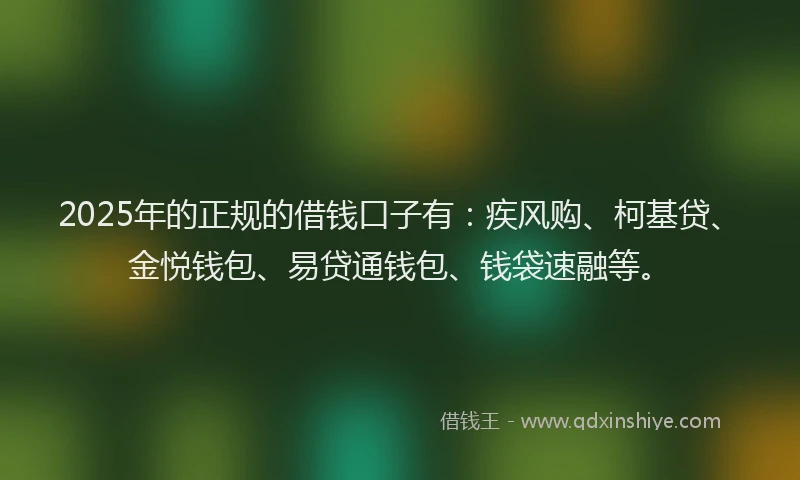 2025年的正规的借钱口子有：疾风购、柯基贷、金悦钱包、易贷通钱包、钱袋速融等。