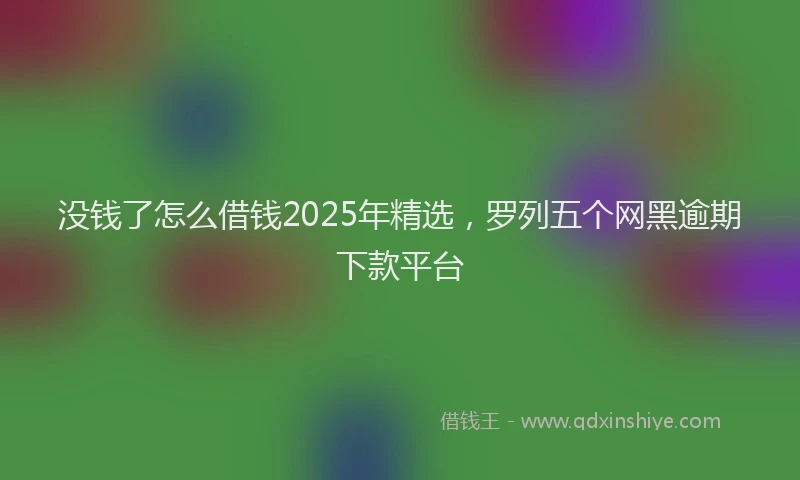 没钱了怎么借钱2025年精选，罗列五个网黑逾期下款平台