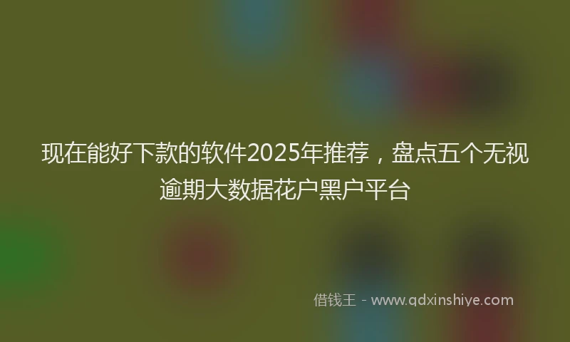 现在能好下款的软件2025年推荐，盘点五个无视逾期大数据花户黑户平台
