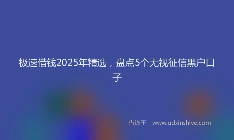 极速借钱2025年精选，盘点5个无视征信黑户口子