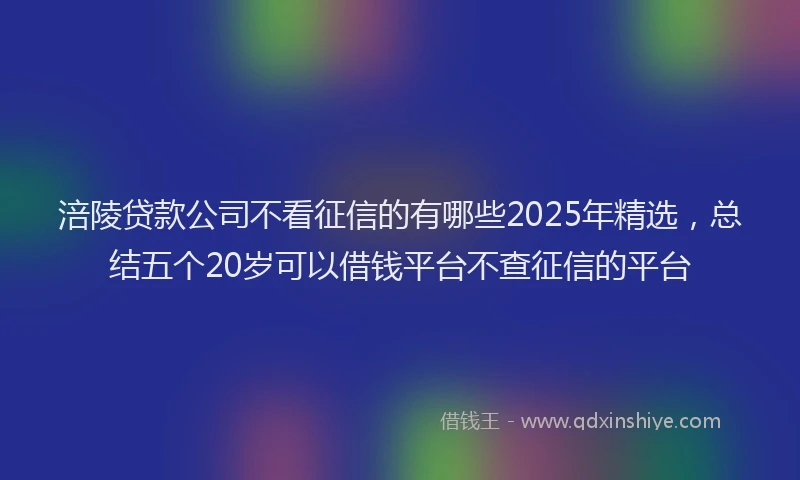 涪陵贷款公司不看征信的有哪些2025年精选，总结五个20岁可以借钱平台不查征信的平台