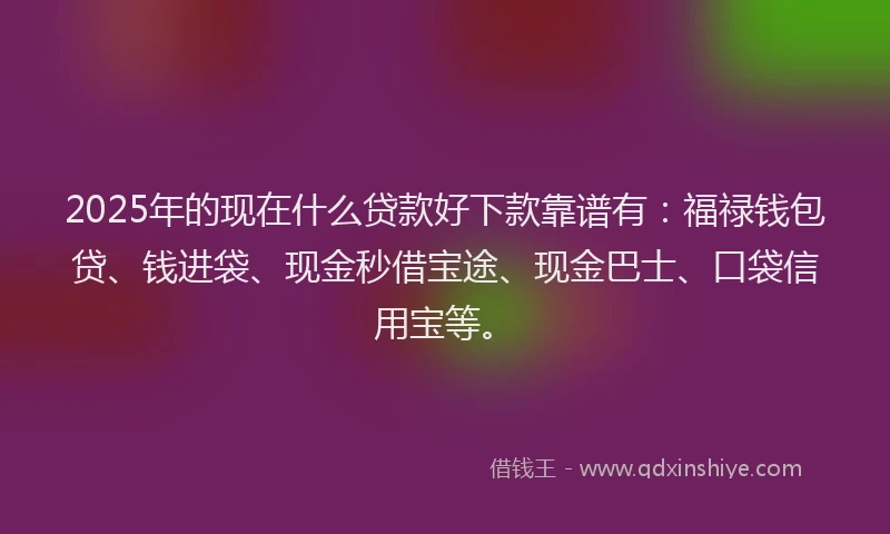 2025年的现在什么贷款好下款靠谱有：福禄钱包贷、钱进袋、现金秒借宝途、现金巴士、口袋信用宝等。