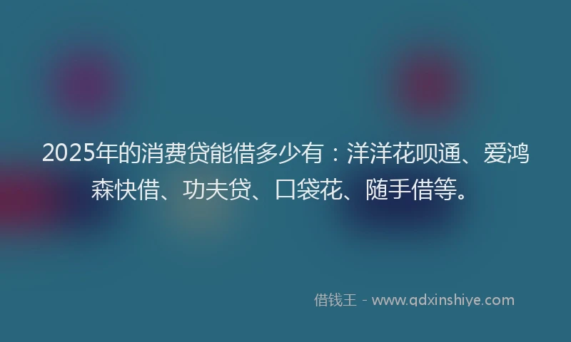 2025年的消费贷能借多少有：洋洋花呗通、爱鸿森快借、功夫贷、口袋花、随手借等。