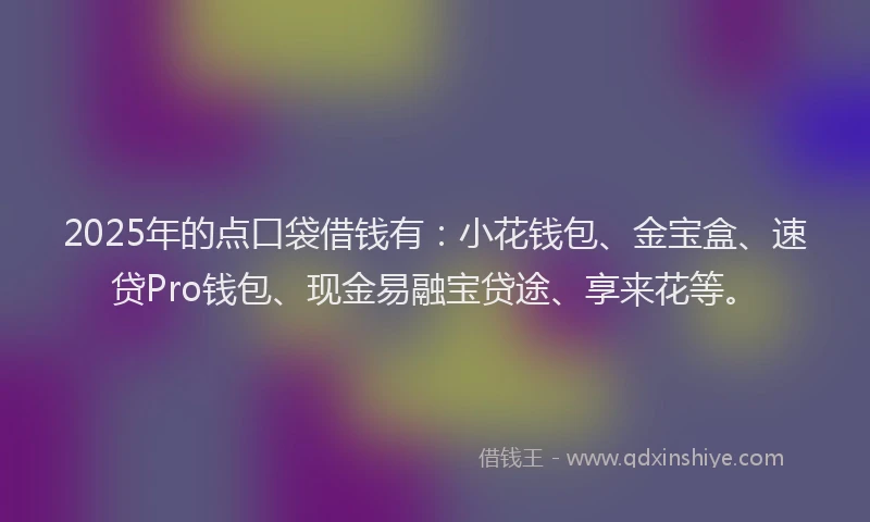2025年的点口袋借钱有：小花钱包、金宝盒、速贷Pro钱包、现金易融宝贷途、享来花等。