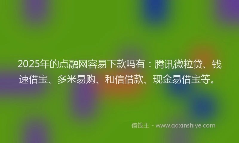 2025年的点融网容易下款吗有：腾讯微粒贷、钱速借宝、多米易购、和信借款、现金易借宝等。