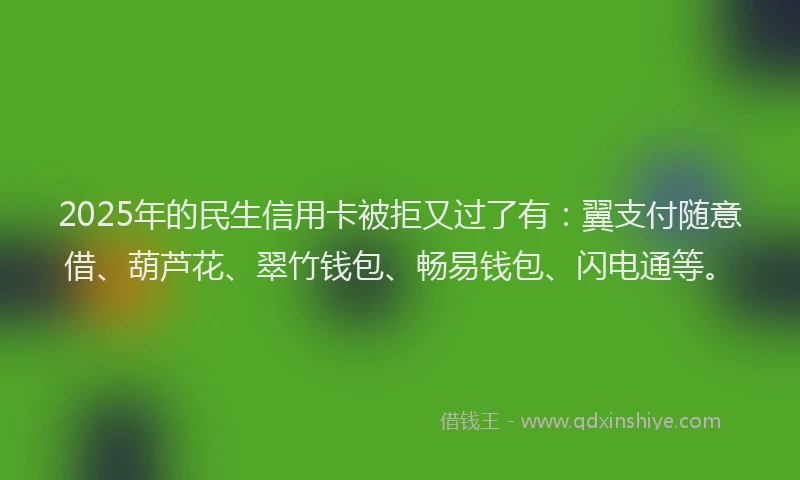 2025年的民生信用卡被拒又过了有：翼支付随意借、葫芦花、翠竹钱包、畅易钱包、闪电通等。