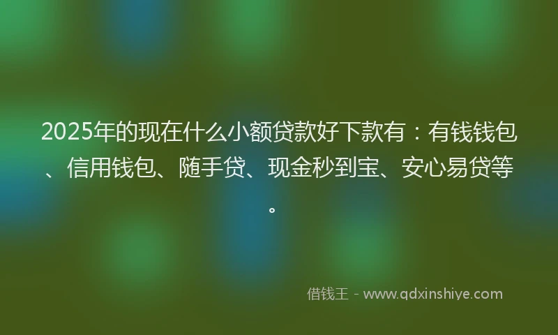 2025年的现在什么小额贷款好下款有：有钱钱包、信用钱包、随手贷、现金秒到宝、安心易贷等。