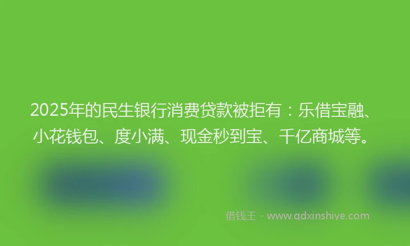 2025年的民生银行消费贷款被拒有：乐借宝融、小花钱包、度小满、现金秒到宝、千亿商城等。