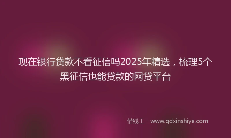 现在银行贷款不看征信吗2025年精选，梳理5个黑征信也能贷款的网贷平台