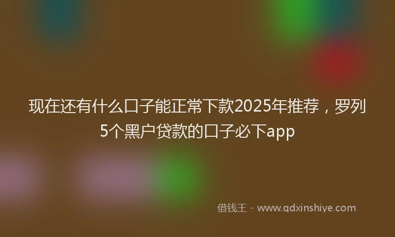 现在还有什么口子能正常下款2025年推荐，罗列5个黑户贷款的口子必下app