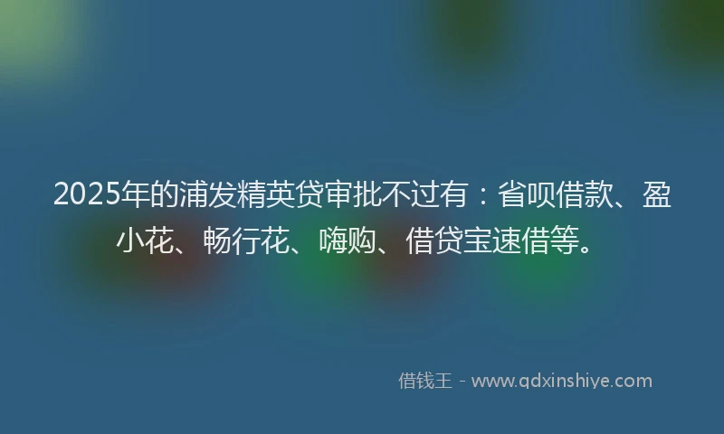 2025年的浦发精英贷审批不过有：省呗借款、盈小花、畅行花、嗨购、借贷宝速借等。