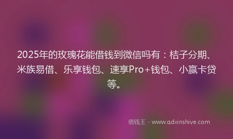 2025年的玫瑰花能借钱到微信吗有：桔子分期、米族易借、乐享钱包、速享Pro+钱包、小赢卡贷等。