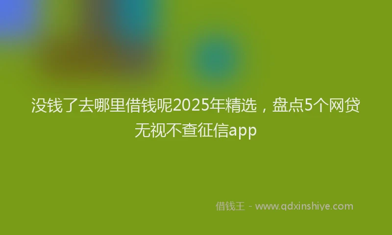 没钱了去哪里借钱呢2025年精选，盘点5个网贷无视不查征信app