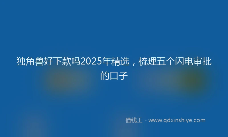 独角兽好下款吗2025年精选，梳理五个闪电审批的口子