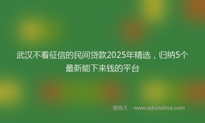 武汉不看征信的民间贷款2025年精选，归纳5个最新能下来钱的平台
