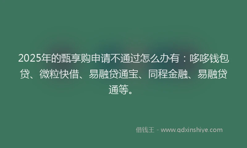 2025年的甄享购申请不通过怎么办有：哆哆钱包贷、微粒快借、易融贷通宝、同程金融、易融贷通等。