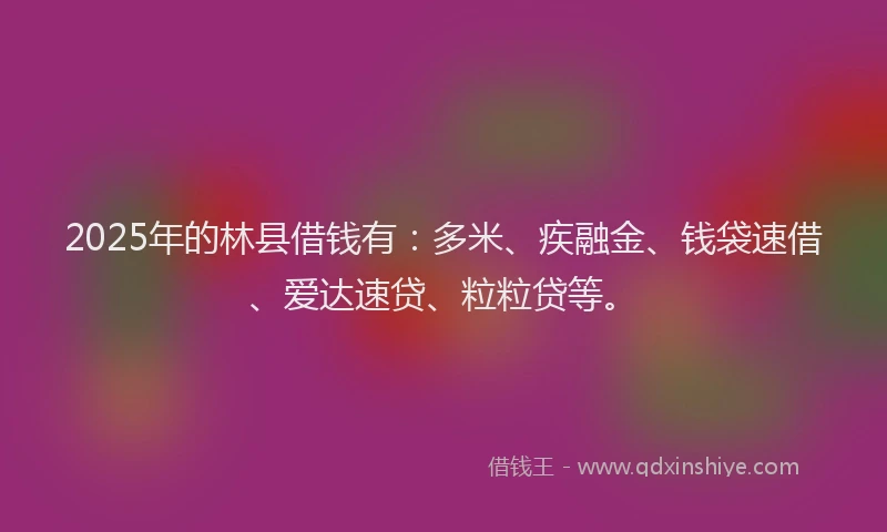 2025年的林县借钱有：多米、疾融金、钱袋速借、爱达速贷、粒粒贷等。