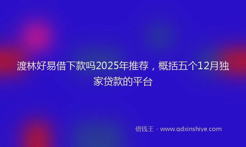 渡林好易借下款吗2025年推荐，概括五个12月独家贷款的平台