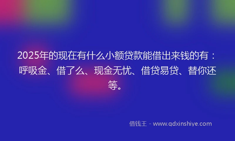 2025年的现在有什么小额贷款能借出来钱的有：呼吸金、借了么、现金无忧、借贷易贷、替你还等。