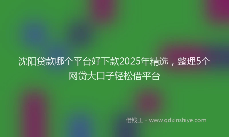 沈阳贷款哪个平台好下款2025年精选，整理5个网贷大口子轻松借平台