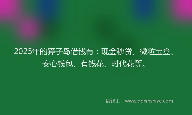 2025年的獐子岛借钱有：现金秒贷、微粒宝盒、安心钱包、有钱花、时代花等。