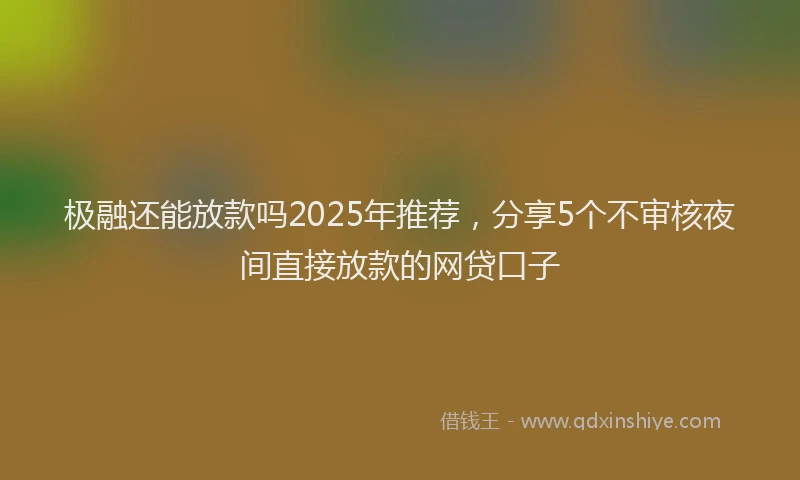 极融还能放款吗2025年推荐，分享5个不审核夜间直接放款的网贷口子