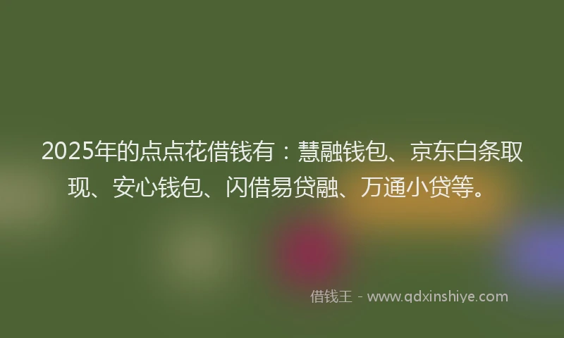 2025年的点点花借钱有：慧融钱包、京东白条取现、安心钱包、闪借易贷融、万通小贷等。