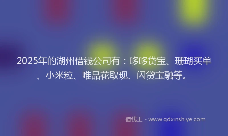 2025年的湖州借钱公司有：哆哆贷宝、珊瑚买单、小米粒、唯品花取现、闪贷宝融等。